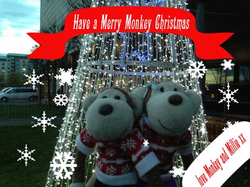 Our official monkey Christmas card
